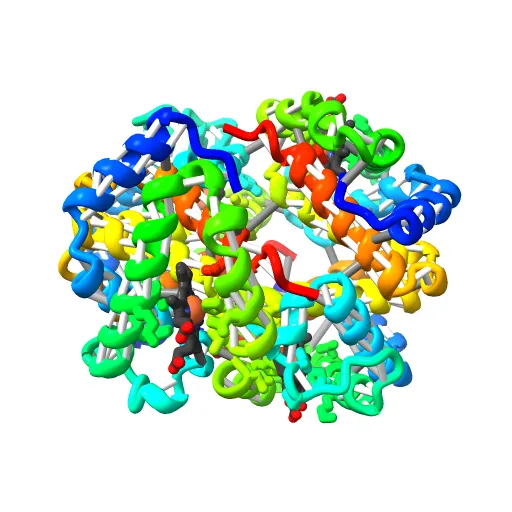 THE HIGH RESOLUTION CRYSTAL STRUCTURE OF DEOXYHEMOGLOBIN S — Image 7 of 13