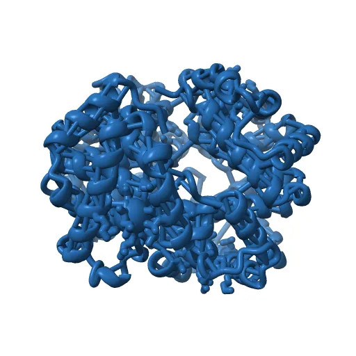 THE HIGH RESOLUTION CRYSTAL STRUCTURE OF DEOXYHEMOGLOBIN S — Image 8 of 13