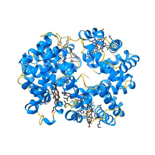 THE HIGH RESOLUTION CRYSTAL STRUCTURE OF DEOXYHEMOGLOBIN S — Image 9 of 13