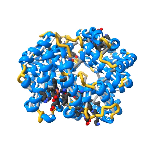 THE HIGH RESOLUTION CRYSTAL STRUCTURE OF DEOXYHEMOGLOBIN S — Image 10 of 13