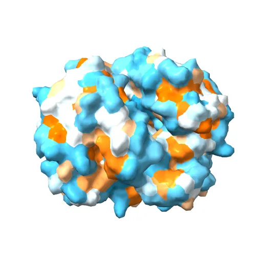 THE HIGH RESOLUTION CRYSTAL STRUCTURE OF DEOXYHEMOGLOBIN S — Image 11 of 13