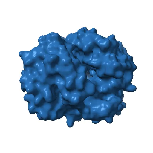 THE HIGH RESOLUTION CRYSTAL STRUCTURE OF DEOXYHEMOGLOBIN S — Image 12 of 13