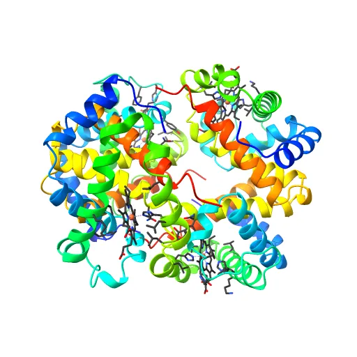 THE HIGH RESOLUTION CRYSTAL STRUCTURE OF DEOXYHEMOGLOBIN S — Image 13 of 13