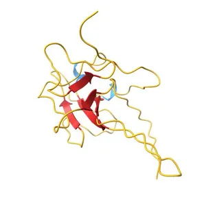 The N-terminal RNA-binding domain of the SARS-CoV-2 nucleocapsid phosphoprotein