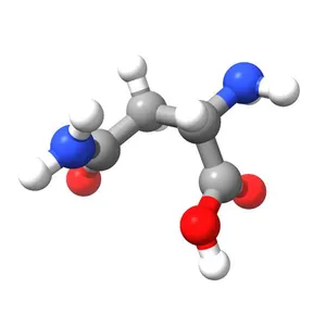 Asparagine