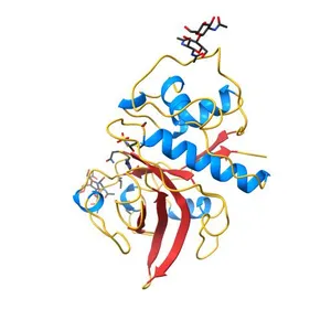 THE 2.1 ANGSTROM STRUCTURE OF A CYSTEINE PROTEASE WITH PROLINE SPECIFICITY FROM GINGER RHIZOME, ZINGIBER OFFICINALE