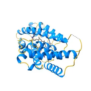 Crystal Structure Analysis of Vitamin D receptor