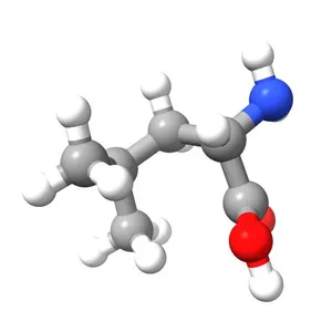 Leucine