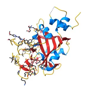 Crystal Structure of human PARP-1 ART domain bound to inhibitor UKTT-15