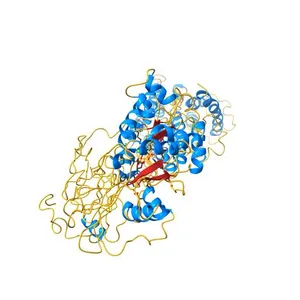 ATPase 2, plasma membrane-type (E.C.3.6.3.6)