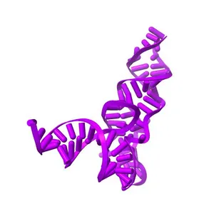 Structure of unmodified E. coli tRNA(Asp)