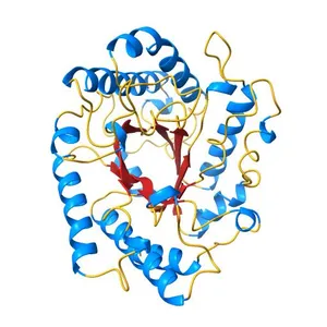 Crystal structure of PbGH5A, a glycoside hydrolase family 5 enzyme from Prevotella bryantii B14