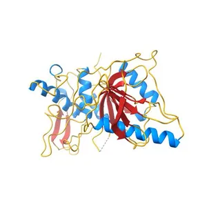 Structure of Prevotella intermedia prointerpain A fragment 39-359 (mutant C154A)