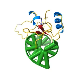Crystal structure of the THAP domain from D. melanogaster P-element transposase in complex with its natural DNA binding site