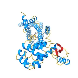 Structure of the M3 muscarinic acetylcholine receptor bound to the antagonist tiotropium crystallized with disulfide-stabilized T4 lysozyme (dsT4L)