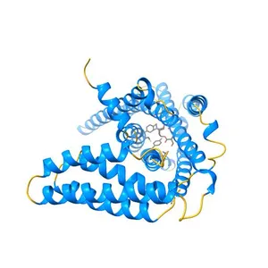 Crystal structure of rationally thermostabilized M2 muscarinic acetylcholine receptor bound with NMS