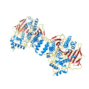 NATIVE ACETYLCHOLINESTERASE (E.C. 3.1.1.7) FROM TORPEDO CALIFORNICA