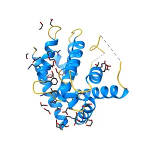 Crystal structure of Geodia cydonium BHP2 in complex with Lubomirskia baicalensis Bak-2
