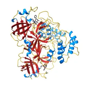 SARS-CoV-2 3CL protease (3CL pro) in complex with a novel inhibitor
