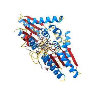 The crystal structure of AzoR (Azo Reductase) from Escherichia coli: Oxidized form