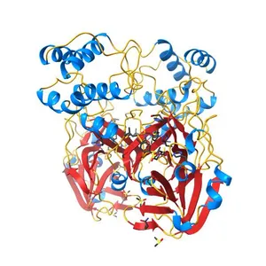 PanDDA analysis group deposition SARS-CoV-2 main protease fragment screen -- Crystal Structure of SARS-CoV-2 main protease in complex with PCM-0102759 (Mpro-x0731)
