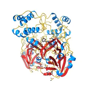 PanDDA analysis group deposition SARS-CoV-2 main protease fragment screen -- Crystal Structure of SARS-CoV-2 main protease in complex with Z1310876699 (Mpro-x0426)