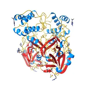 PanDDA analysis group deposition SARS-CoV-2 main protease fragment screen -- Crystal Structure of SARS-CoV-2 main protease in complex with Z328695024 (Mpro-x1101)