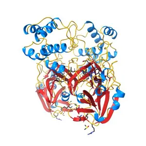 PanDDA analysis group deposition SARS-CoV-2 main protease fragment screen -- Crystal Structure of SARS-CoV-2 main protease in complex with Z1619978933 (Mpro-x0395)