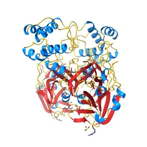 PanDDA analysis group deposition SARS-CoV-2 main protease fragment screen -- Crystal Structure of SARS-CoV-2 main protease in complex with Z369936976 (Mpro-x0397)