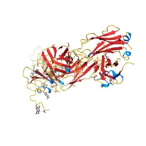 Crystal structure of the SARS-CoV-2 receptor binding domain in complex with CR3022 Fab