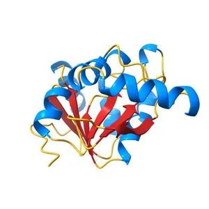 Crystal Structure of ADP ribose phosphatase of NSP3 from SARS-CoV-2 in the apo form