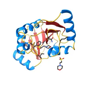 Crystal Structure of ADP ribose phosphatase of NSP3 from SARS-CoV-2 in complex with MES