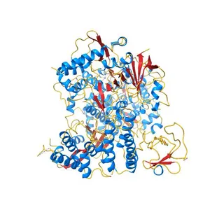 Cryo-EM structure of the apo nsp12-nsp7-nsp8 complex