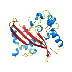 2.05 Angstrom Resolution Crystal Structure of C-terminal Dimerization Domain of Nucleocapsid Phosphoprotein from SARS-CoV-2