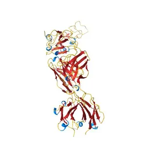 Structure of the SARS-CoV-2 spike S1 protein in complex with CR3022 Fab