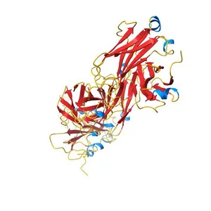 Crystal structure of the SARS-CoV-2 receptor binding domain in complex with CR3022 Fab (crystal form 1)