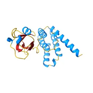Crystal structure of the nsp7-nsp8 complex of SARS-CoV-2
