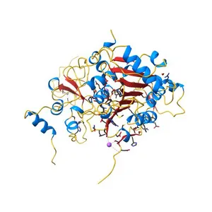 1.98 Angstrom Resolution Crystal Structure of NSP16-NSP10 Heterodimer from SARS-CoV-2 in Complex with Sinefungin