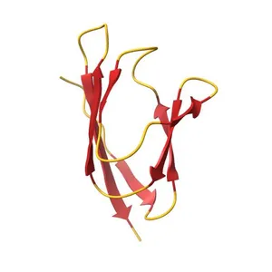 STRUCTURE OF THE SARS-CoV-2 ORF7A ENCODED ACCESSORY PROTEIN