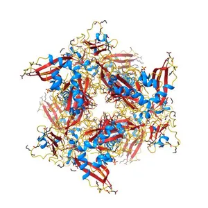 Crystal Structure of NSP15 Endoribonuclease from SARS CoV-2 in the Complex with Uridine-5'-Monophosphate