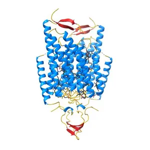 Crystal Structure of the Closed State of Channelrhodopsin