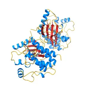 Crystal structure of BRAF-V600E bound to GDC0879