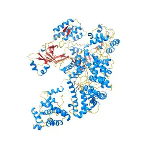 Crystal structure of S. pyogenes Cas9