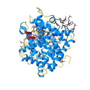 Crystal Structure of a new rexinoid bound to the RXRalpha ligand binding doamin in the RXRalpha/PPARgamma heterodimer