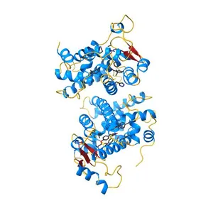 THE 2.1 ANGSTROM RESOLUTION CRYSTAL STRUCTURE OF THE HETERODIMER OF THE HUMAN RXRALPHA AND PPARGAMMA LIGAND BINDING DOMAINS RESPECTIVELY BOUND WITH 9-CIS RETINOIC ACID AND ROSIGLITAZONE AND CO-ACTIVATOR PEPTIDES.