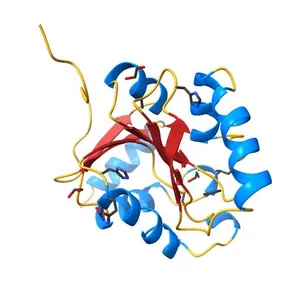 Crystal structure of SARS-CoV-2 (Covid-19) NSP3 macrodomain in complex with HEPES