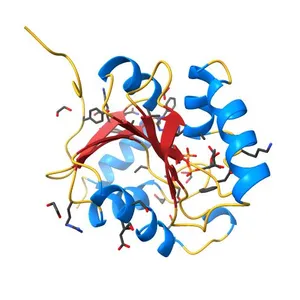 Crystal structure of SARS-CoV-2 (Covid-19) NSP3 macrodomain in complex with ADP-ribose