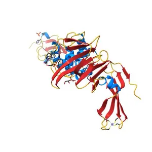 The crystal structure of Papain-Like Protease of SARS CoV-2 , C111S mutant