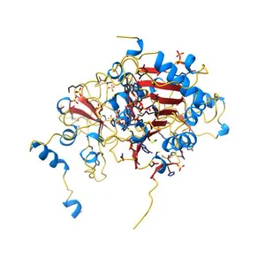Crystal Structure of Nsp16-Nsp10 Heterodimer from SARS-CoV-2 in Complex with 7-methyl-GpppA and S-adenosyl-L-homocysteine.