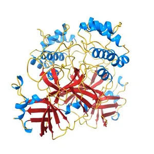 Structural Plasticity of the SARS-CoV-2 3CL Mpro Active Site Cavity Revealed by Room Temperature X-ray Crystallography